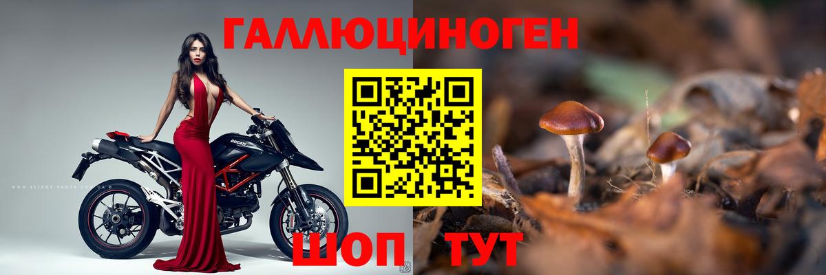 Галлюциногенные грибы мицелий  Вход с VPN  Ростов-на-Дону 